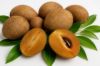 Picture of ZAPOTA (ചിക്കു)